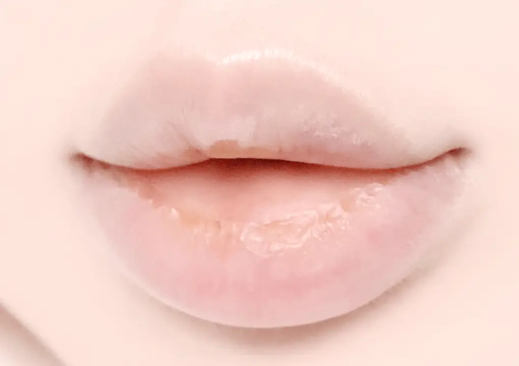 [2025어워즈] 브링그린 대나무 히알루 립 에센스 (2입/4입/기획) 상세페이지 16